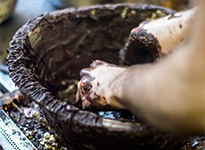 Schokolieren der Lebkuchen von Düll im Detail
