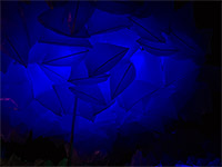 blaue-nacht-impressionen-07
