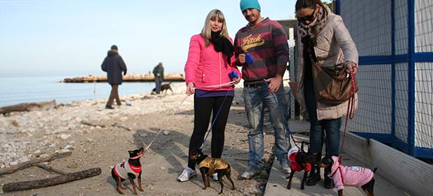 Hunde Besitzer am Strand