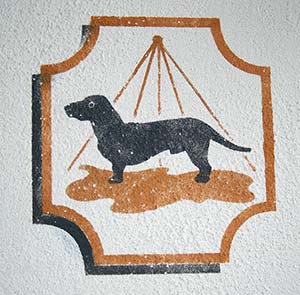Icon Wand Hundebad